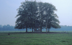 Theehuisje op Saxe Gotha