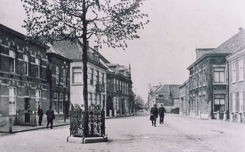 De Wilhelminaboom 1898